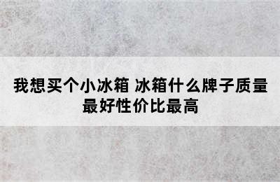 我想买个小冰箱 冰箱什么牌子质量最好性价比最高